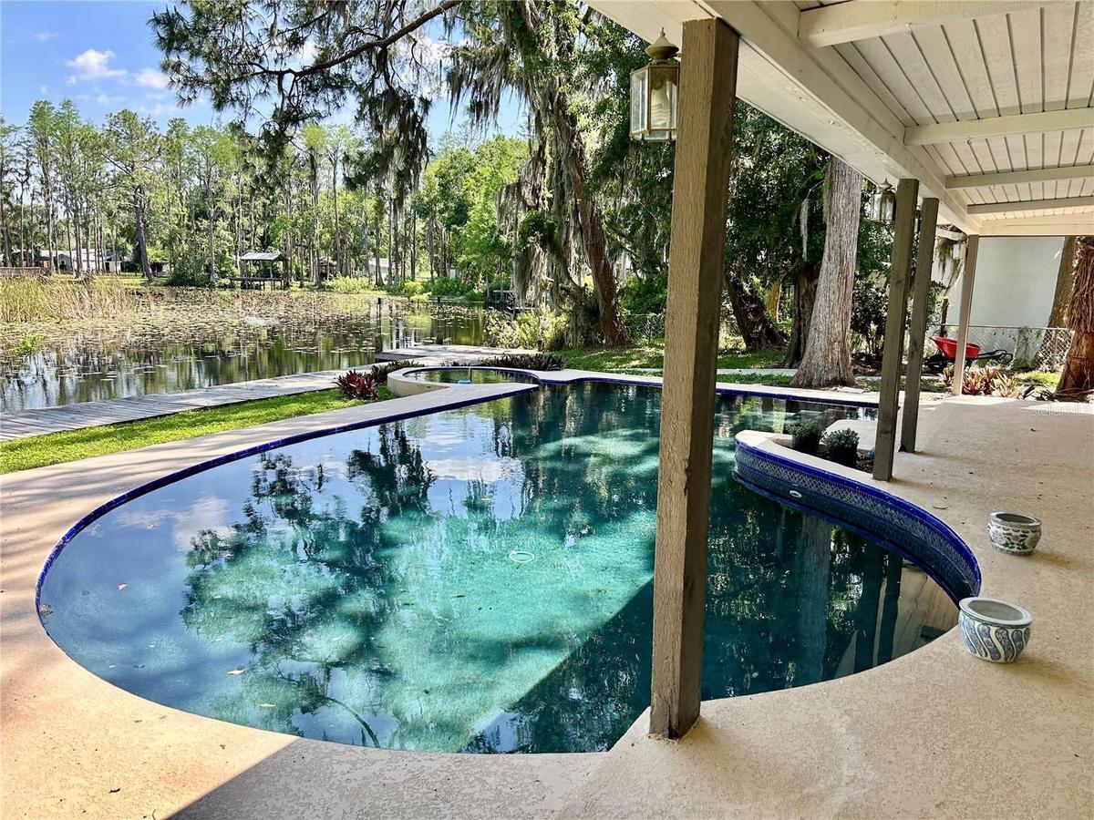Pool/Lanai/Dock and Lake