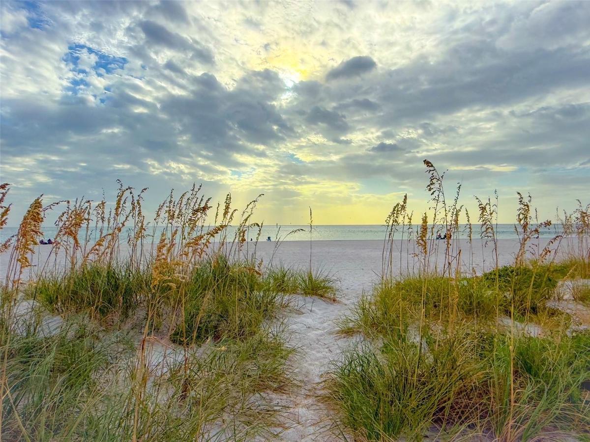 View from pathway to beach