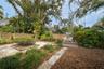 Back garden