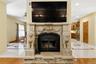 Ornate fireplace featuring carved lion figures and a stone surround with intricate detailing