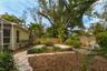 Back garden