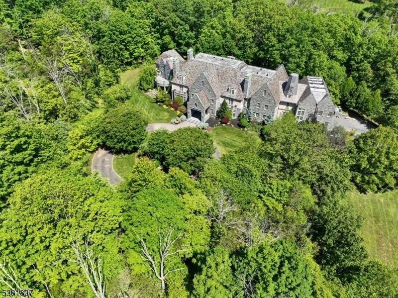 Aerial