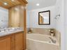 Master Bathroom Tub