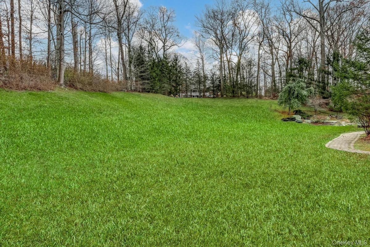 View of green lawn