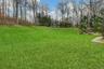 View of green lawn