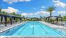 Lap Pool