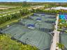 Lighted Har-Tru tennis courts with covered viewing areas, perfect for competitive play, lessons, and social gatherings.