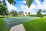 Basketball Court