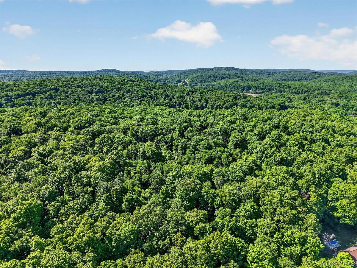 So much possibility exists for these 98.77 acres!
