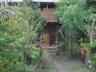 This tree house was torn down but can be rebuilt