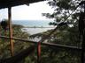 View from the old tree house