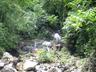 Water falls