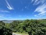 View from Roof Top
