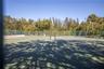 Pickleball and Tennis courts for the community