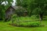 Back garden