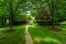 View of grassy yard