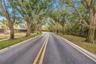 Driving or walking down this shady lane relieves the stress of the day as you enter the cove