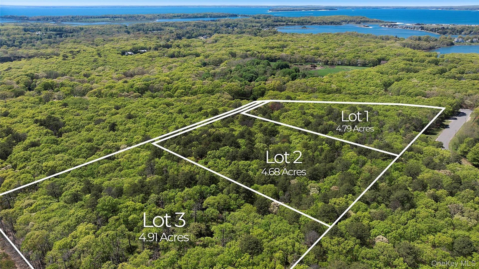 Lot map showing acre division for each lot.