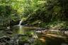 Waterfall on the property