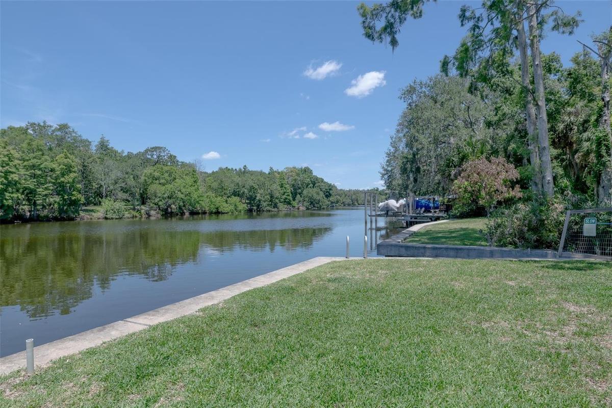 Lowry Park is directly across the river, natural views instead of other homes.