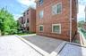 Rear Yard