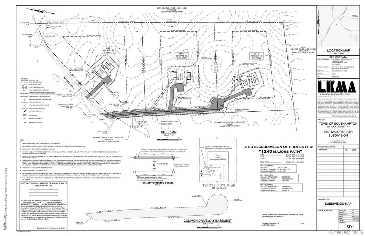 Survey Map showing lot division and potential home placement on each lot.