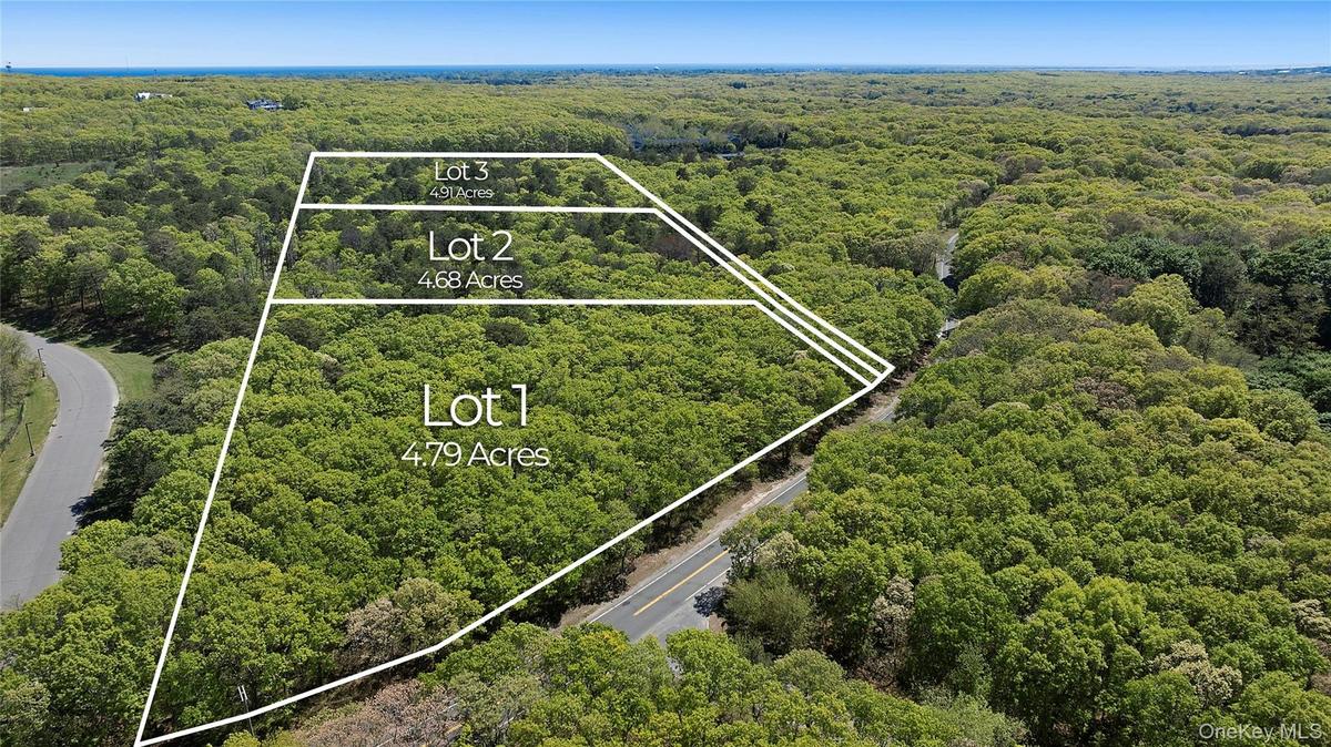 Lot map showing acre division for each lot.