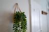 Owners decor