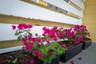 Owners balcony divider