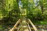 Bridge over stream with a view of trees