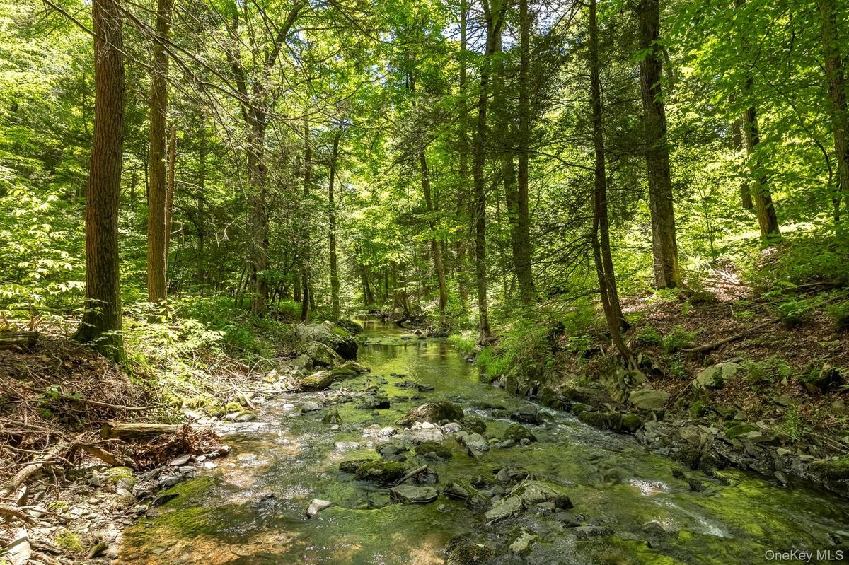 property on both sides of the stream