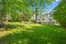 Backyard2