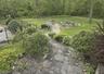 Side yard