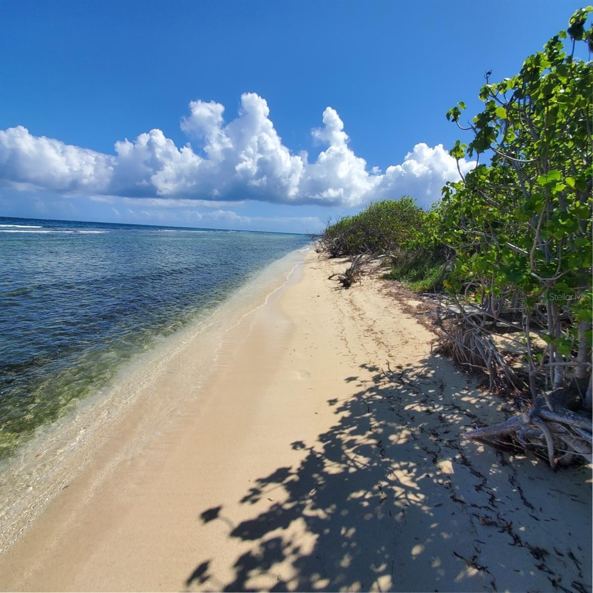 Beach Access