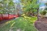 Deck Backyard