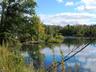 Pond Views