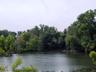 Gorgeous Pond