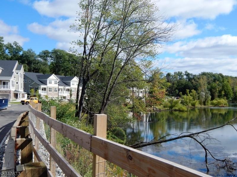 Pond Views