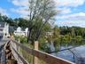 Pond Views