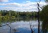 Pond View