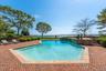 Gunite Saltwater Pool