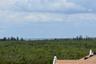 View of Tampa, Skyway and Tampa Bay From Rooftop Deck