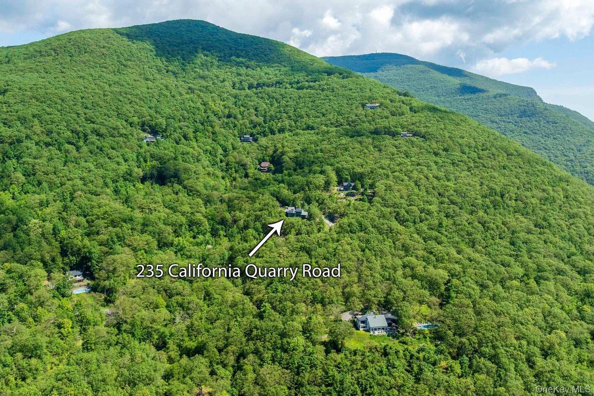 Bird's eye view of a heavily wooded area and a mountain backdrop