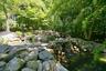 Pond