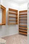 Walk In Closet 1