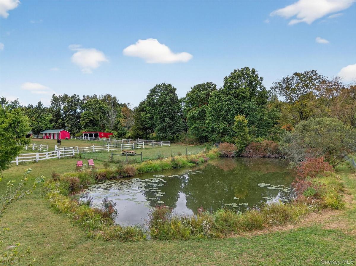 stocked pond