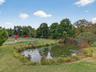 stocked pond