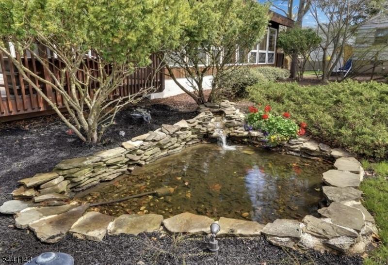 Pond