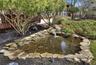Pond