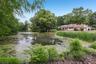 Pond
